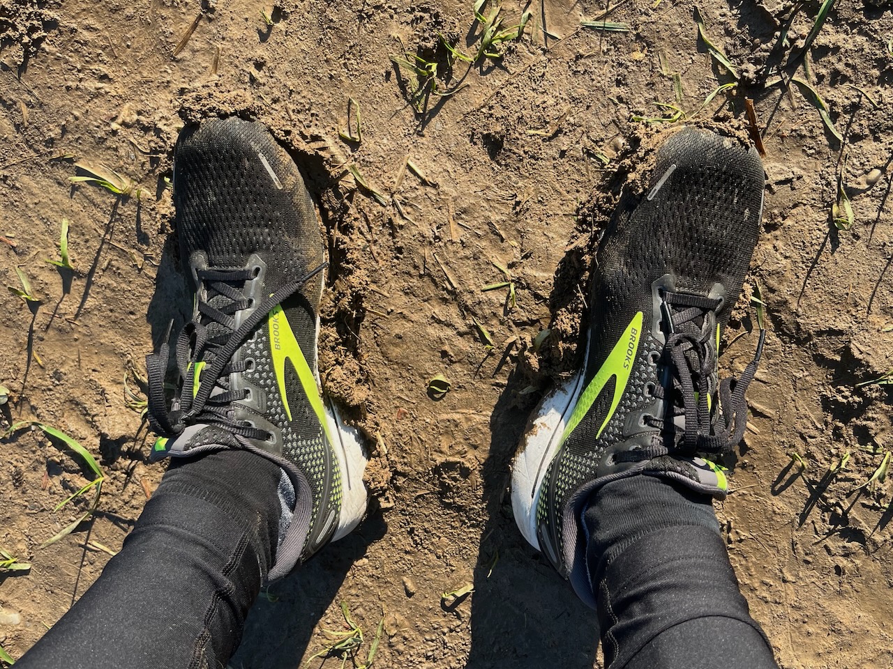 Running out in the fields